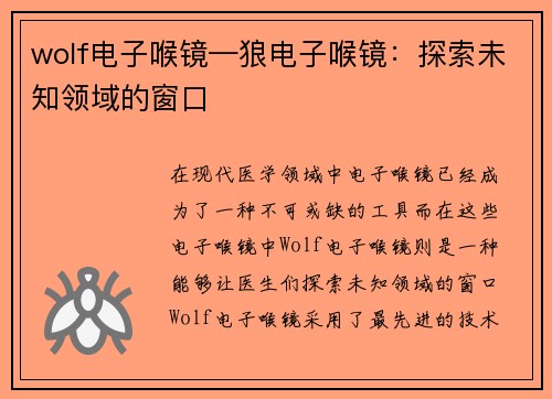 wolf电子喉镜—狼电子喉镜：探索未知领域的窗口